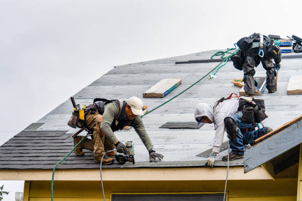 Professional Gutter Installation technician working in East Andover, NH